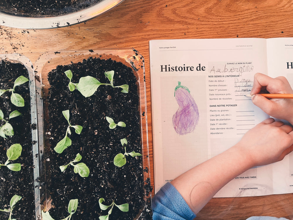 litératie alimentaire québec école primaire