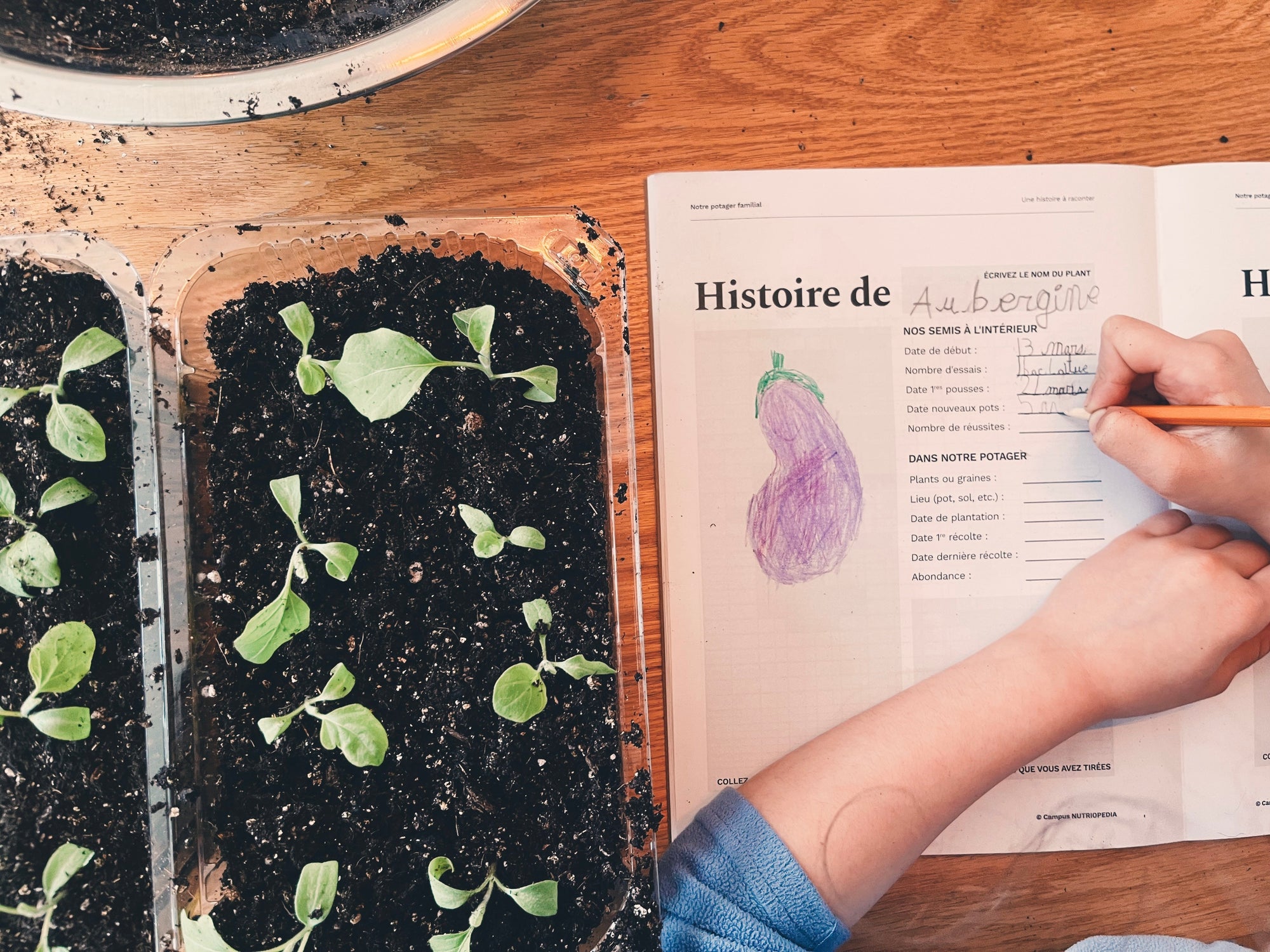 litératie alimentaire québec école primaire