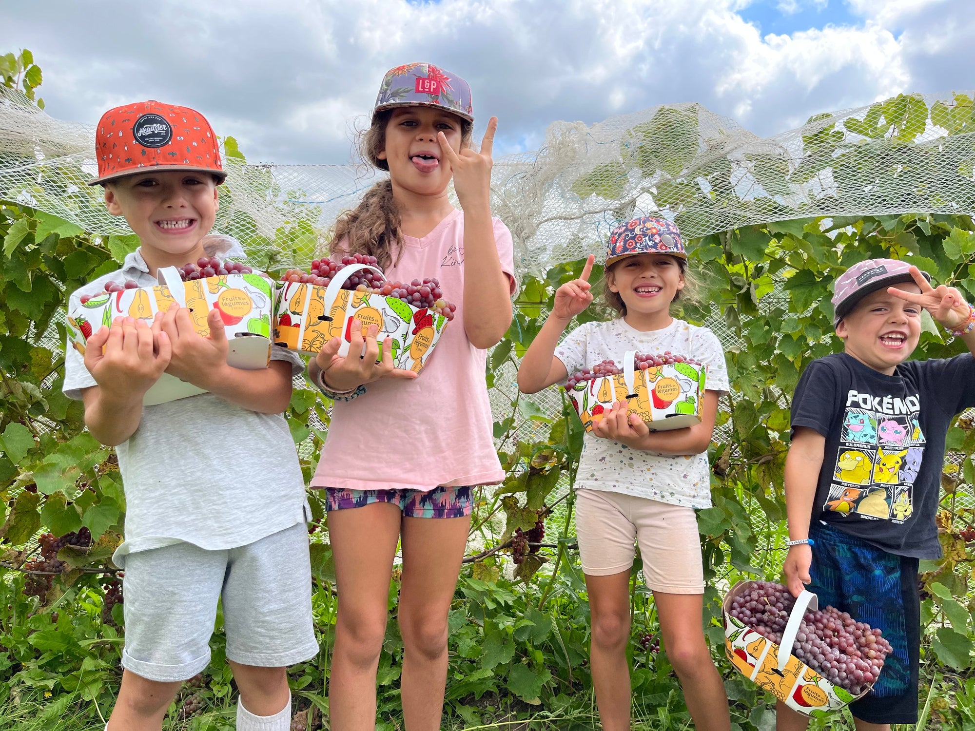 Autocueillette québec fruits aliments du québec