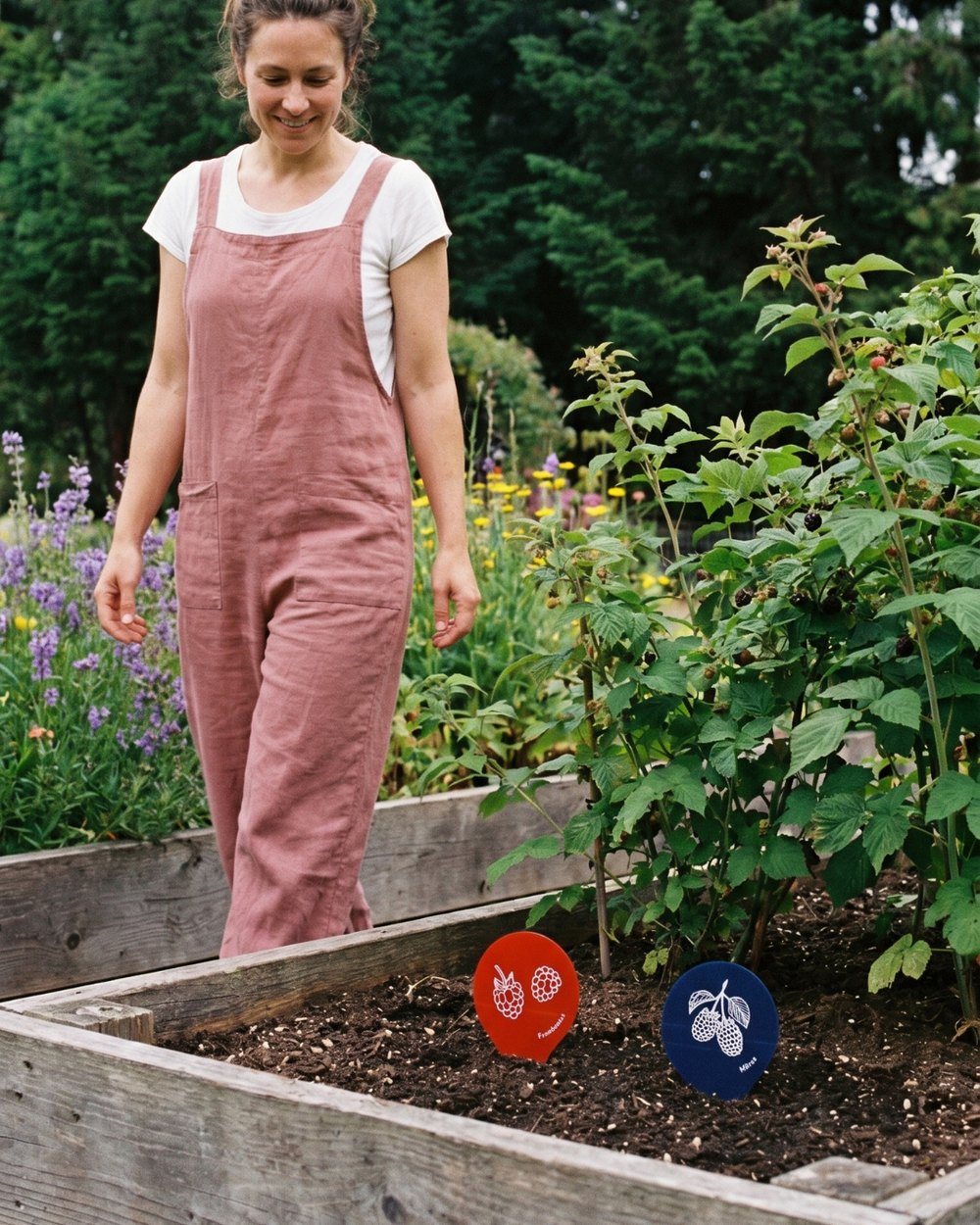TOP 8 des fruits à ajouter au jardin québécois