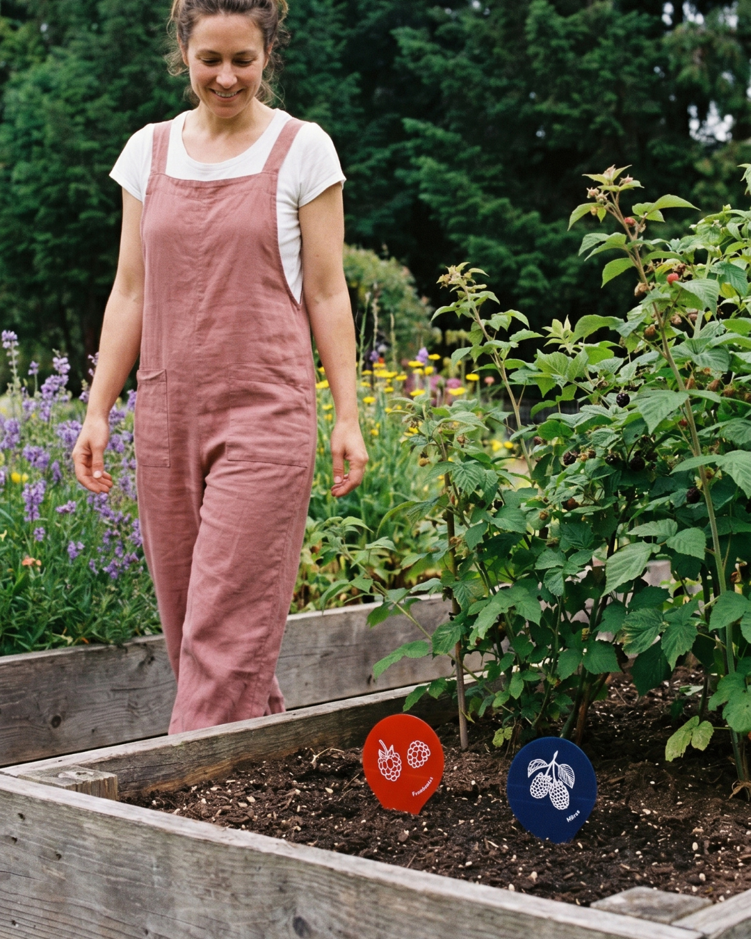 TOP 8 des fruits à ajouter au jardin québécois