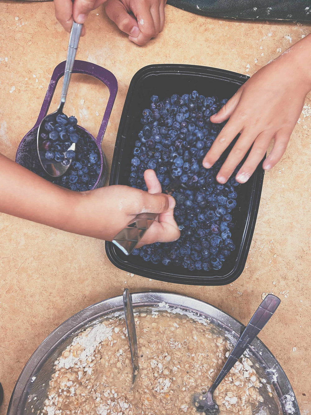 recettes bleuets du Québec