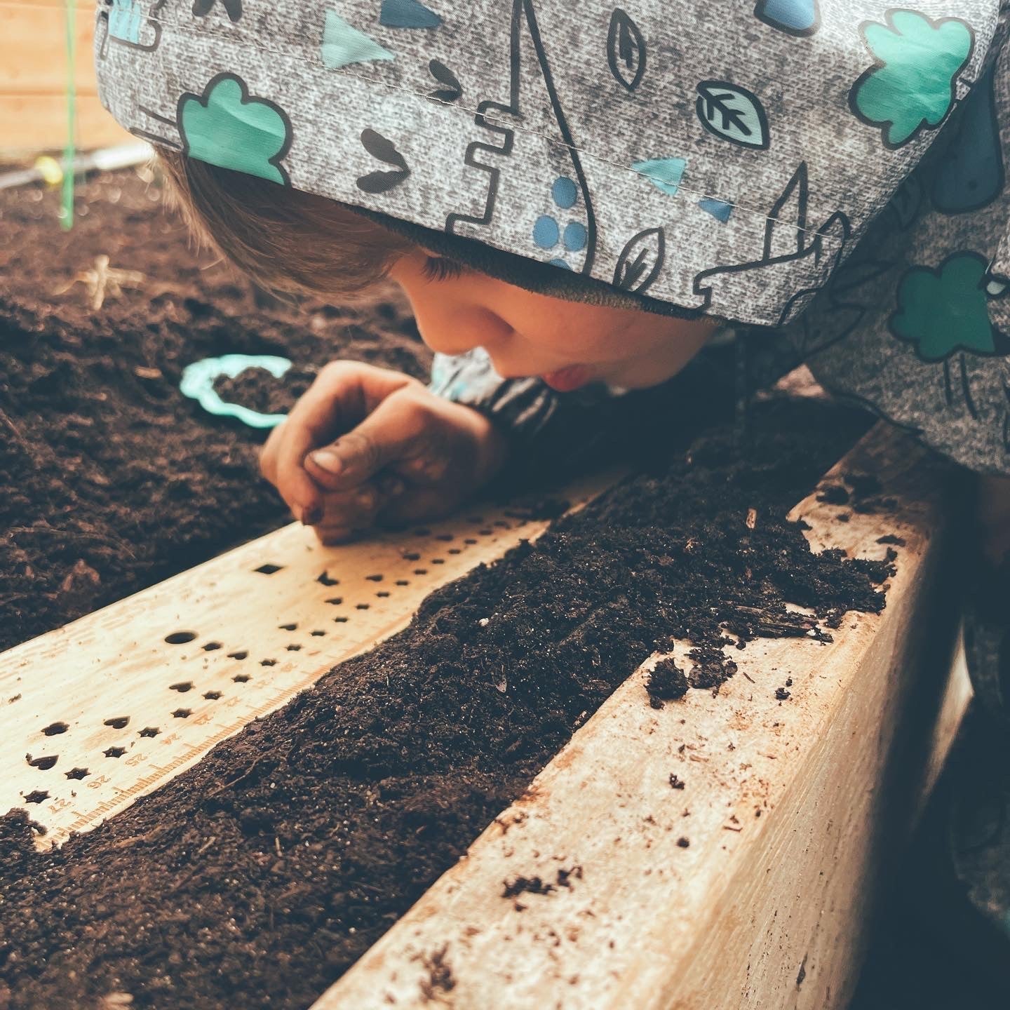 semis successifs_québec_règle_semer_potager communautaire