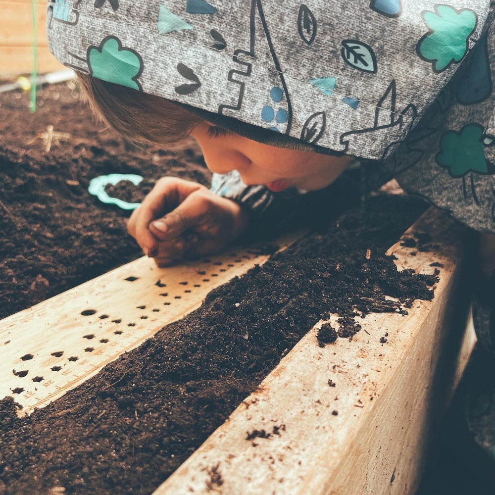seedling ruler - template for sowing in rows, made in Quebec, Canada