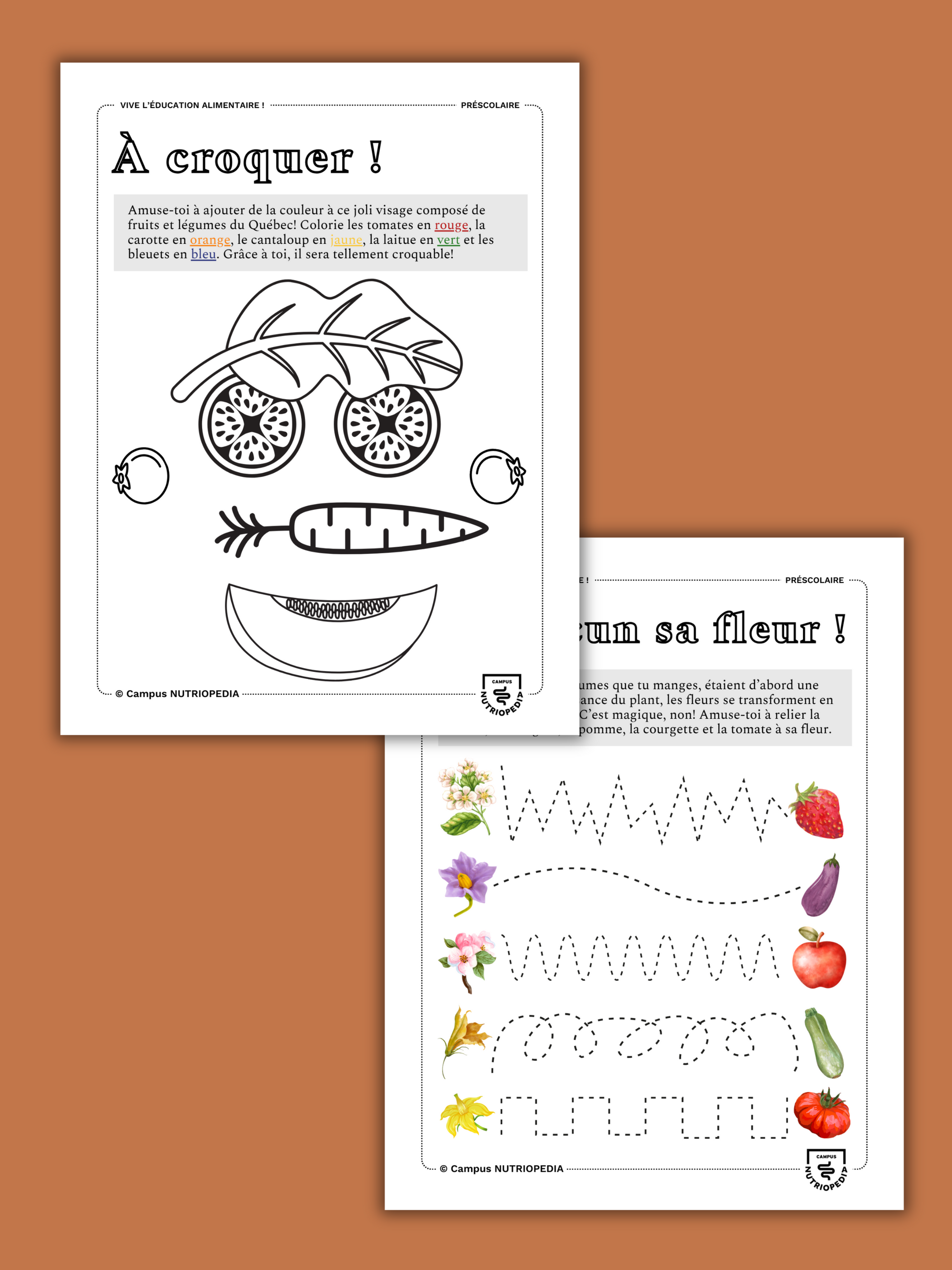 Cahier d'activités à imprimer pour l'éducation alimentaire - Visite au potager!