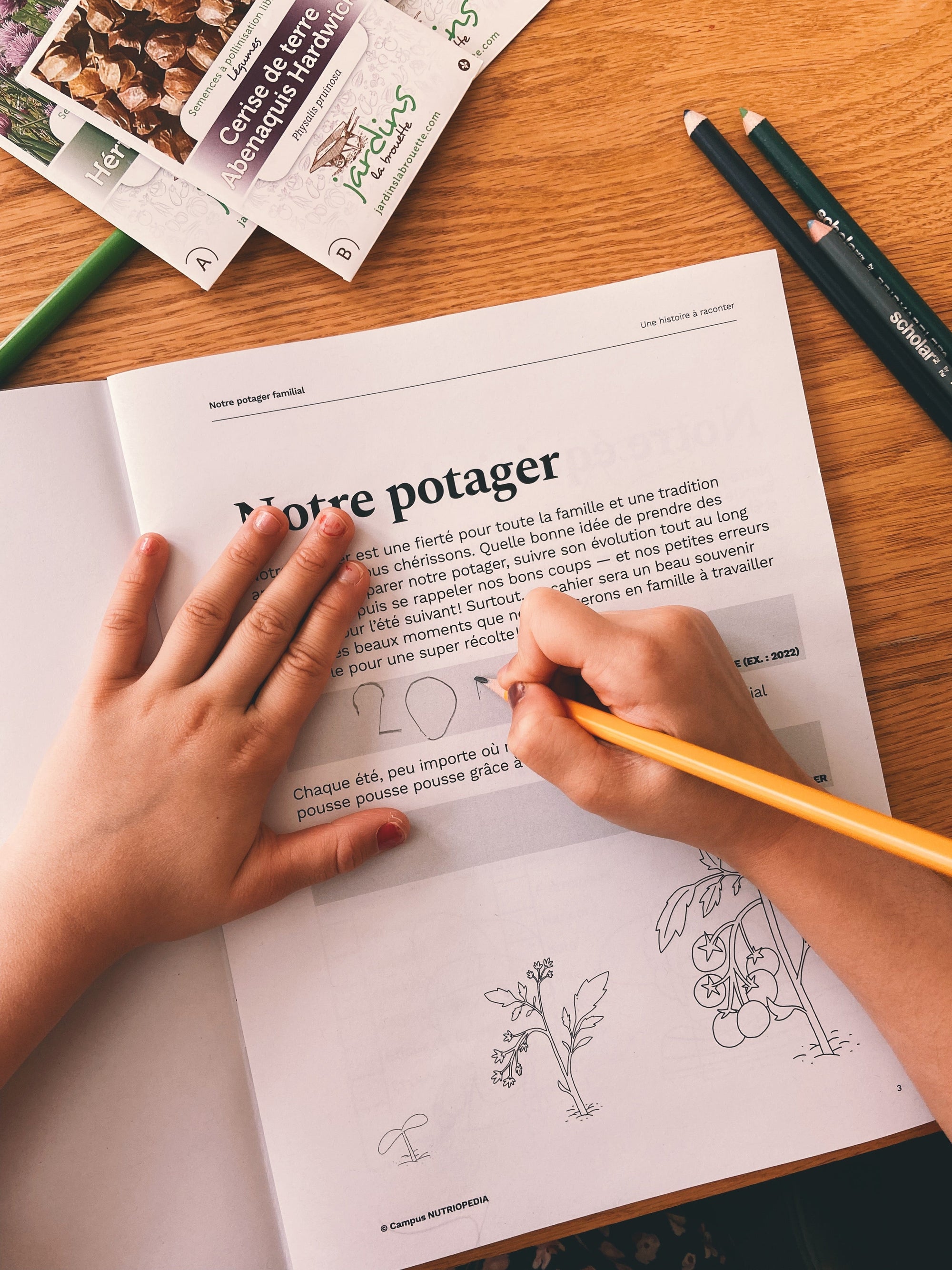 Cahier du potager