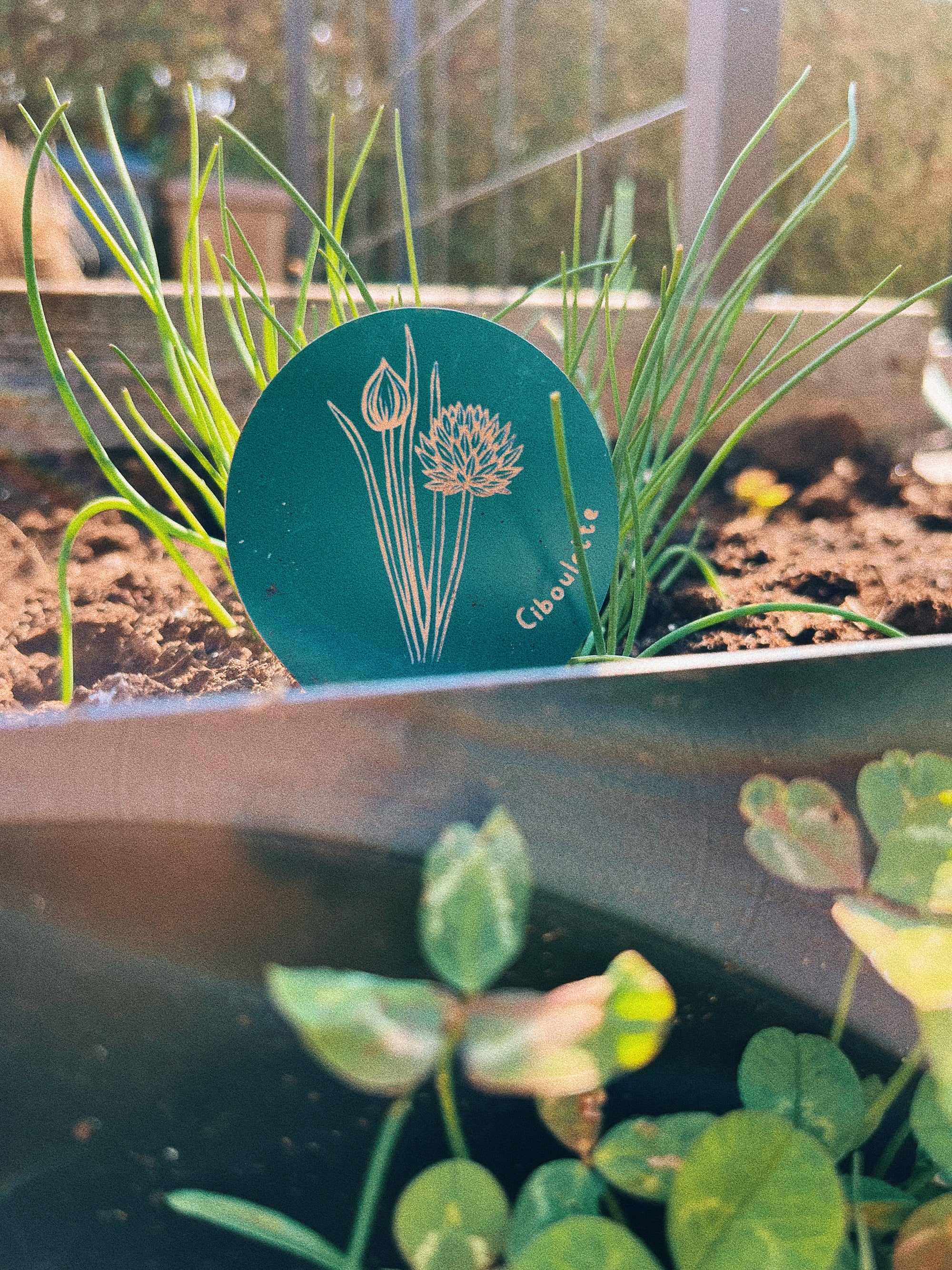 Étiquettes de fines herbes pour semis et potager, fabriqués au Québec