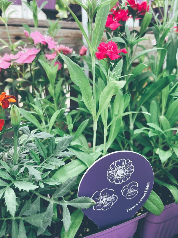 Étiquettes de fleurs comestibles pour semis et potager, fabriqués au Québec