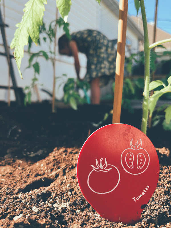 Marqueurs de potager - illustration et écriture, fabriqués au Québec
