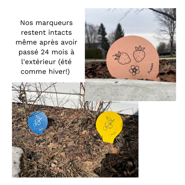 Étiquettes de fleurs comestibles pour semis et potager, fabriqués au Québec