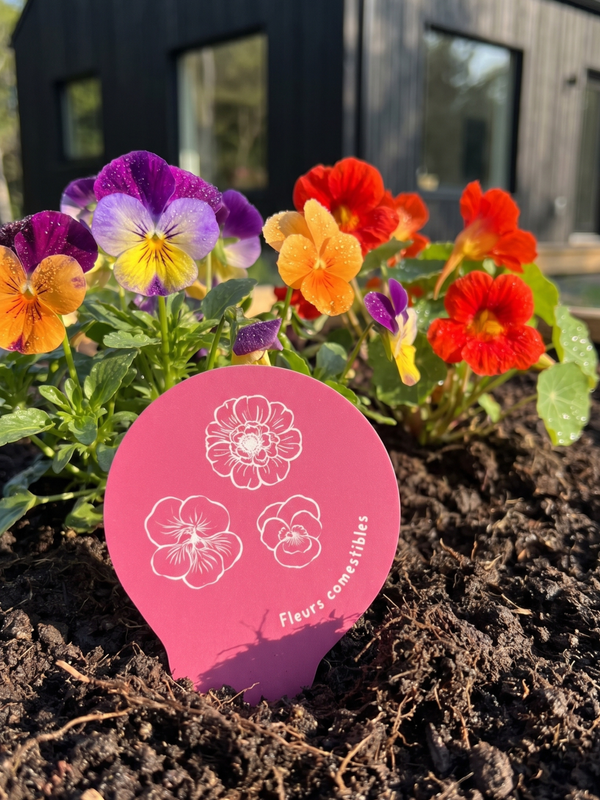fleurs comestible étiquette jardin québec