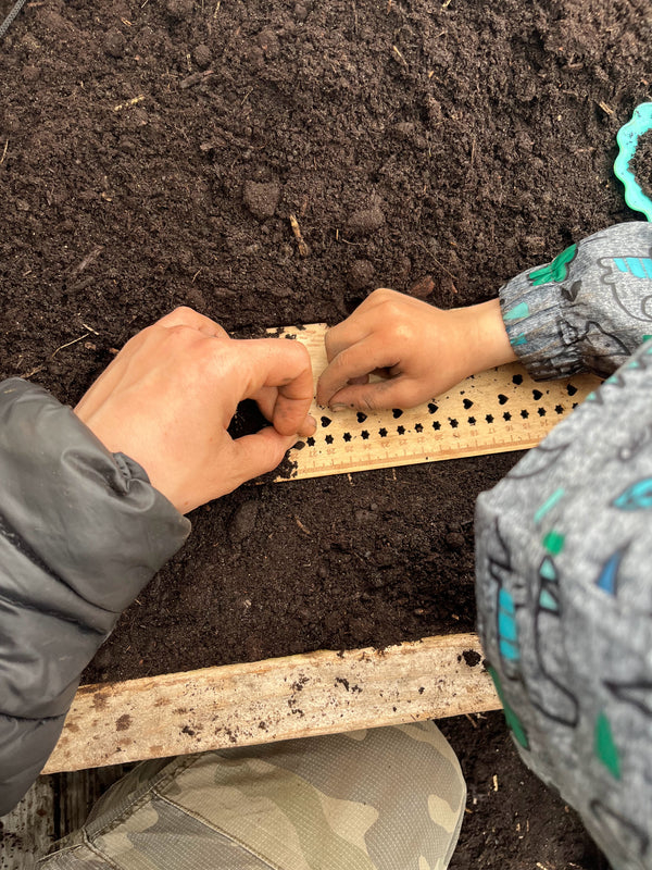 Seedling ruler - template for sowing in rows, made in Quebec, Canada