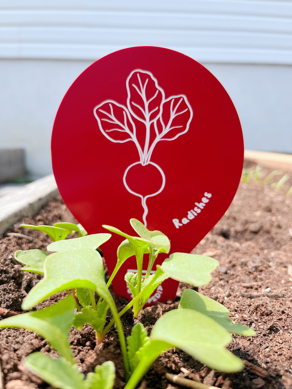Garden Markers, Plant Labels, Fruits and Vegetables Illustration, made in Quebec, Canada