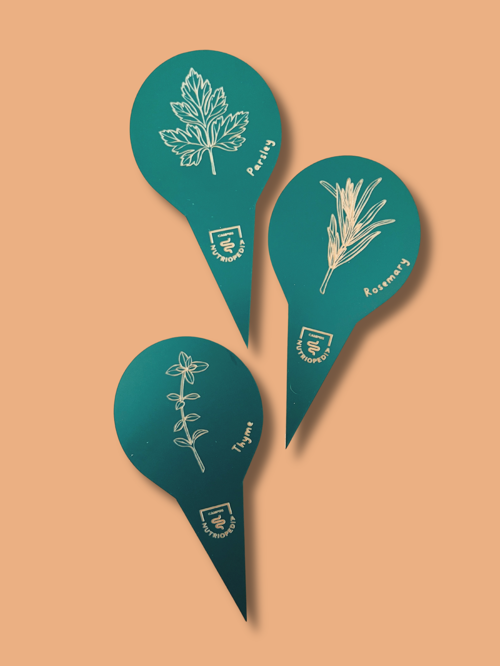 Herb tags for seedlings and vegetable garden, made in Quebec, Canada