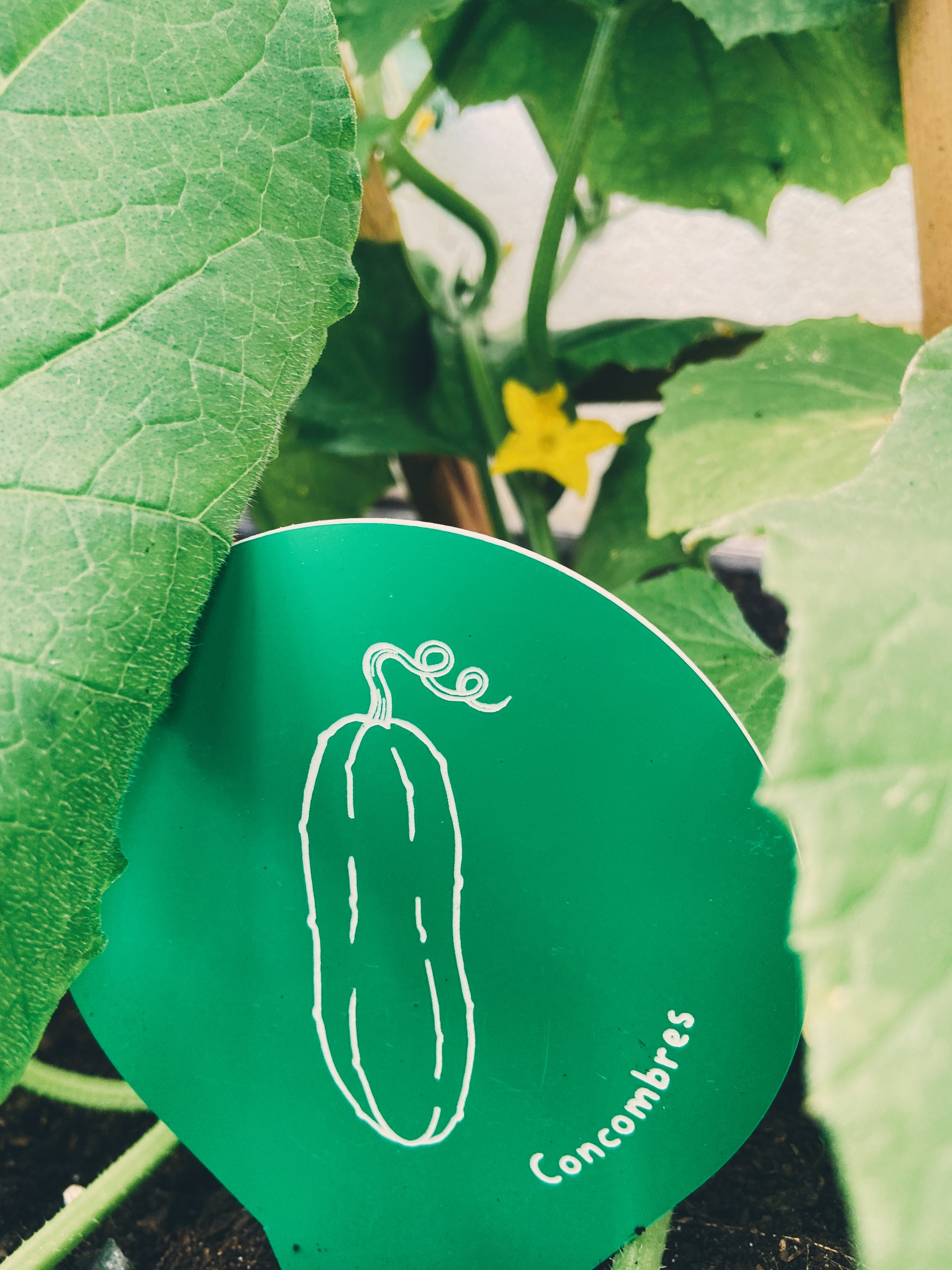 Marqueur pour le potager - Québec