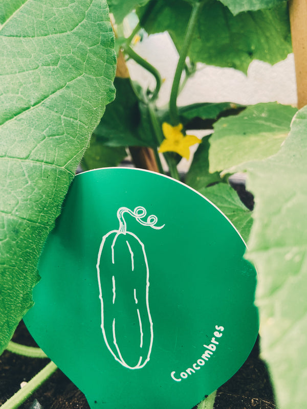 Marqueur pour le potager - Québec