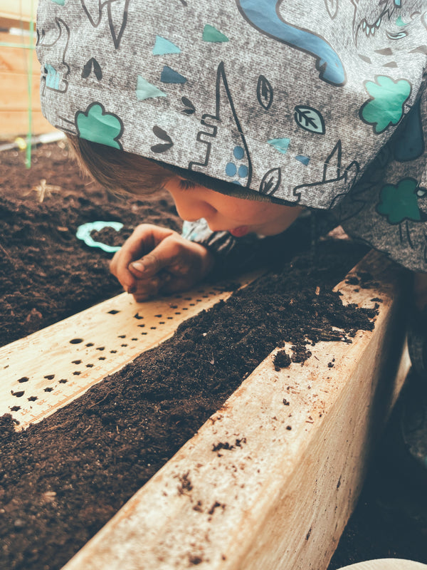 Seedling ruler - template for sowing in rows, made in Quebec, Canada