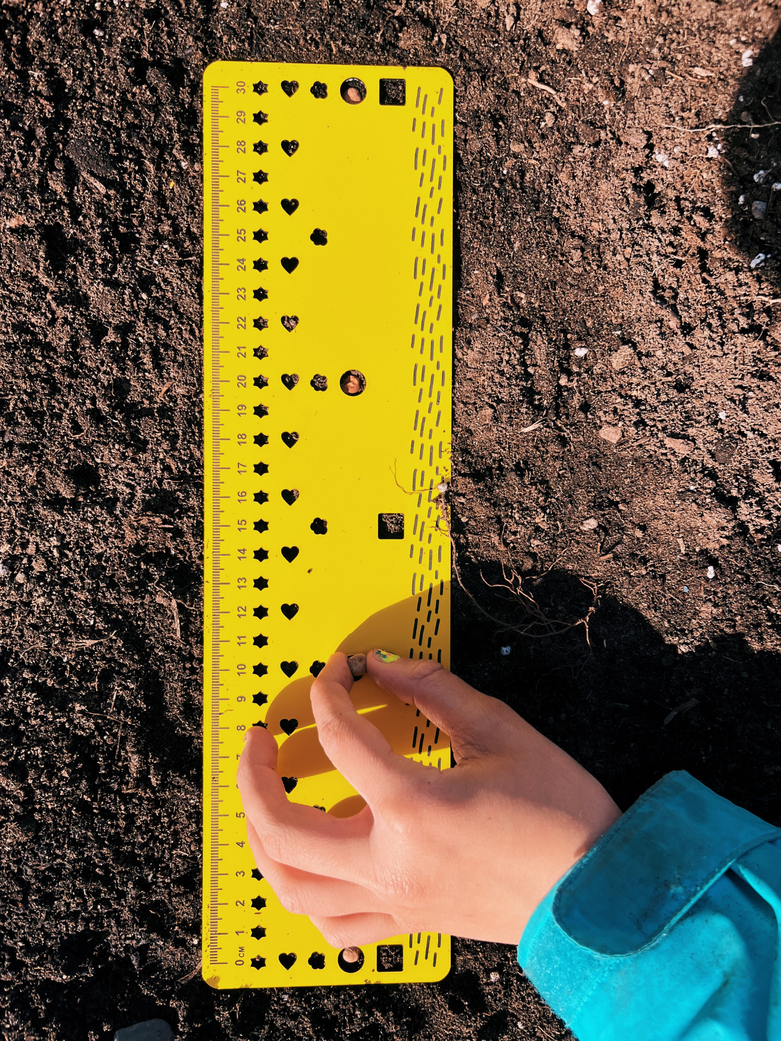 Coco Rio Ruler Seedling ruler - template for sowing in rows, made in Quebec, Canada