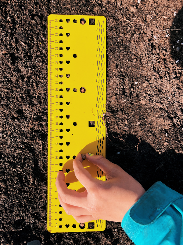 Seedling ruler - template for sowing in rows, made in Quebec, Canada