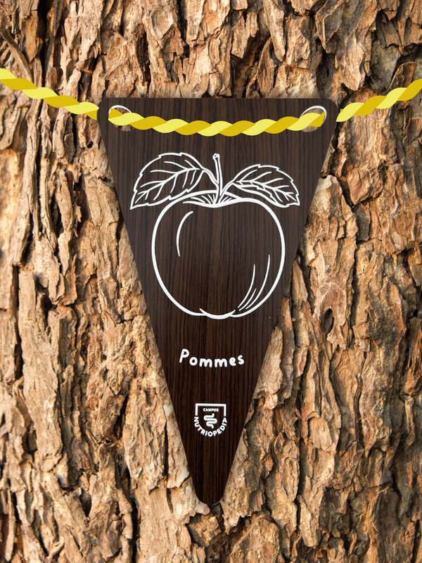 tag arbre étiquette arbre fruitiers fruits québec