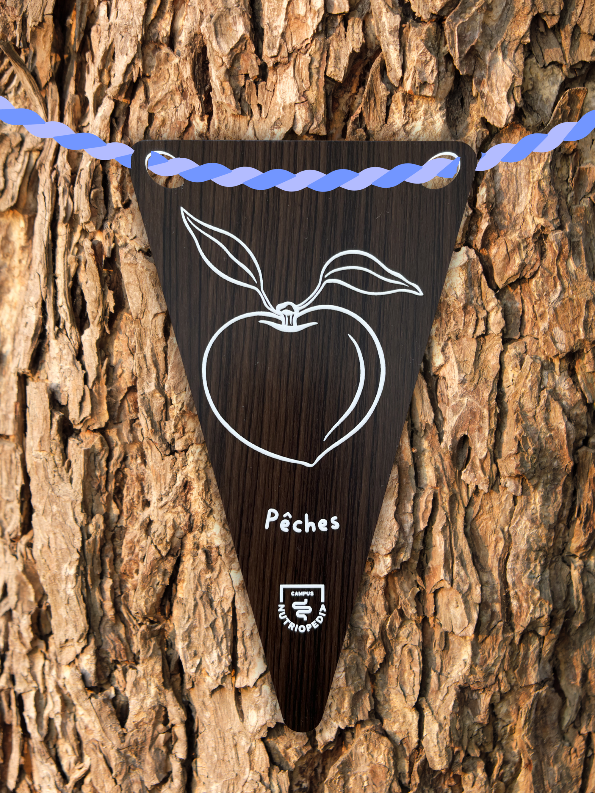 tag arbre étiquette arbre fruitiers fruits québec aliment québec