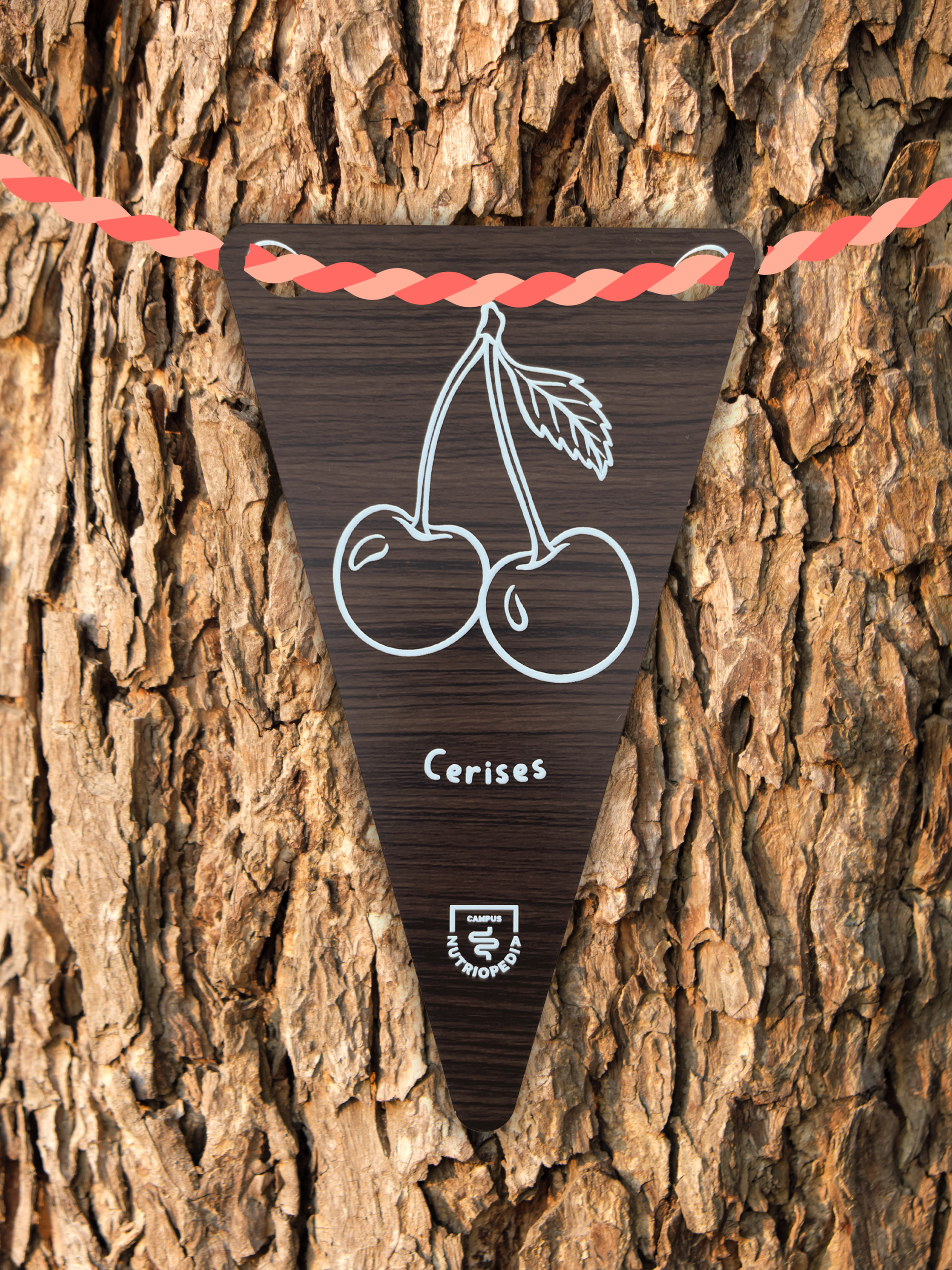 tag arbre étiquette arbre fruitiers fruits québec jardin communautaire