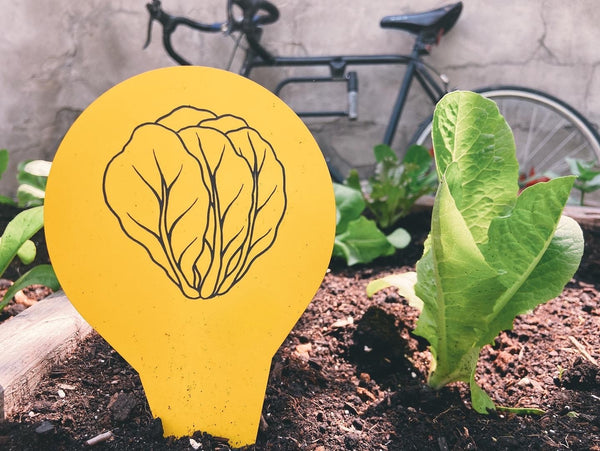 planter marker canada quebec fruit vegetables