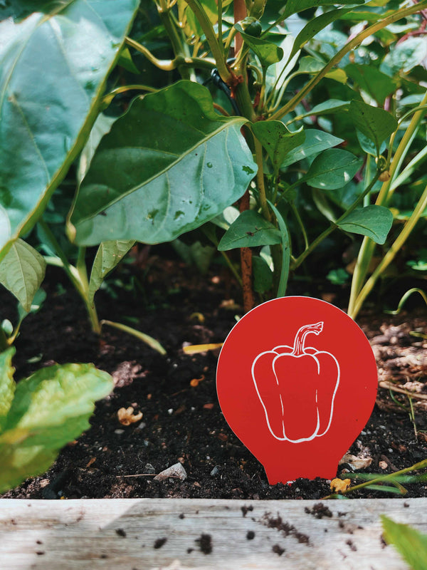garden labels fruits vegetables canada