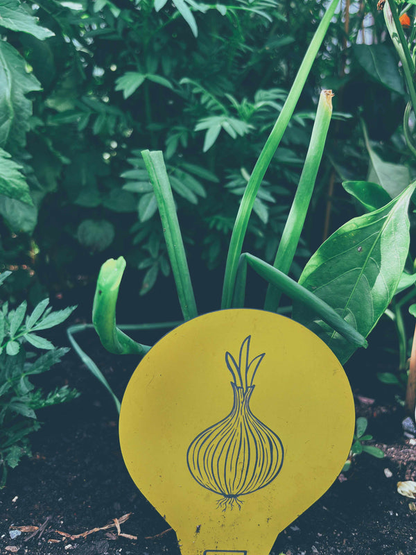 étiquettes potagers 