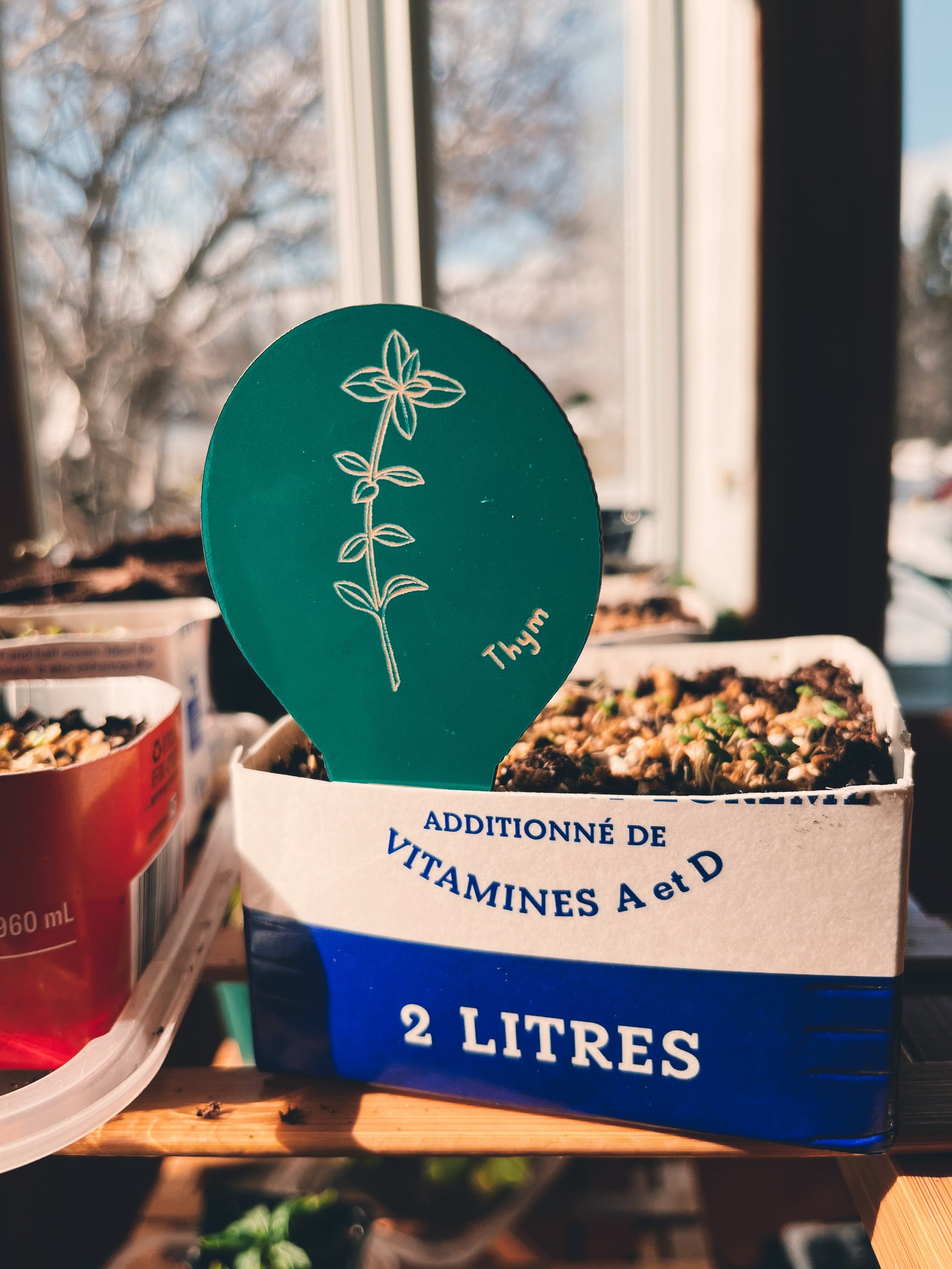 Étiquettes de fines herbes pour semis et potager, fabriqués au Québec