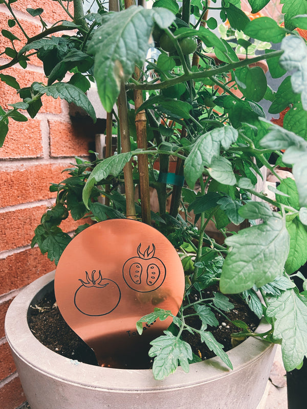Marqueurs de potager - GRANDS, fabriqués au Québec - Rose dorée