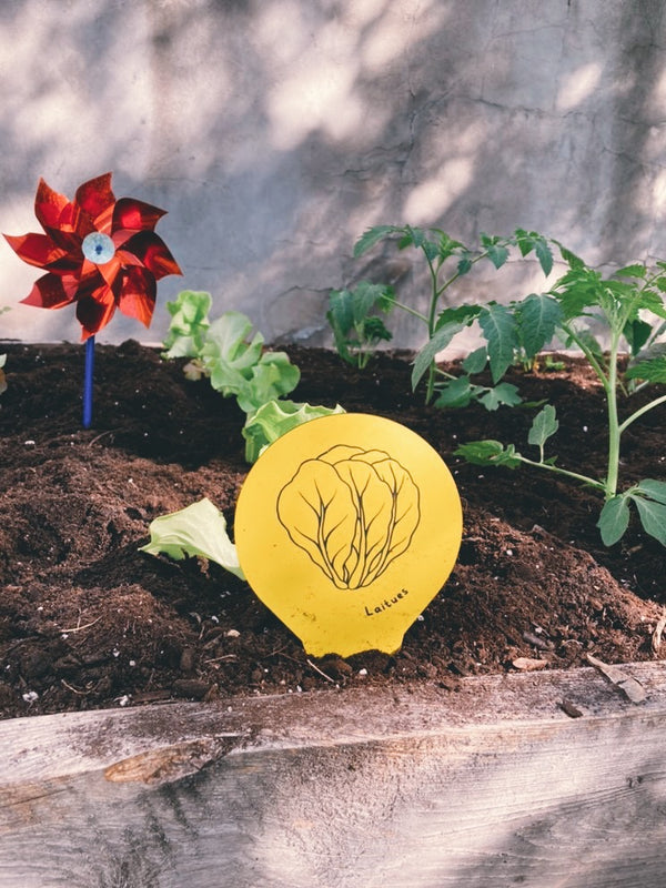 Marqueurs pour le jardin et le potager du Québec