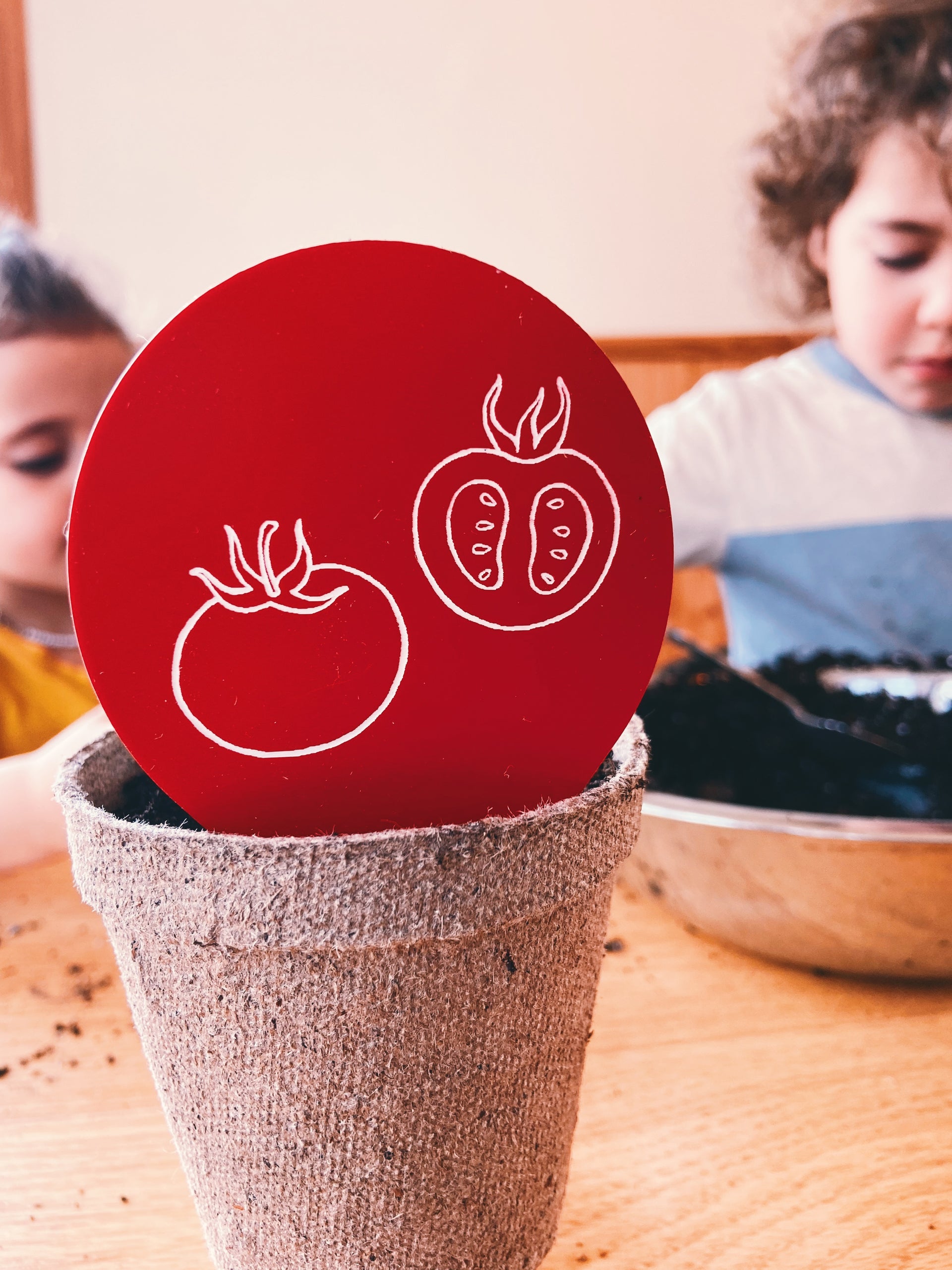Lot règles à semer - potager éducatif, fabriqué au Québec